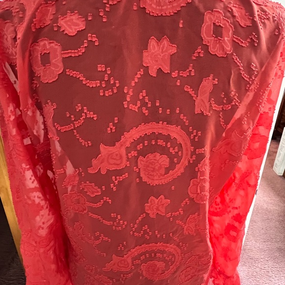 Elegant Orange Lace Women's Top - Picture 8 of 8